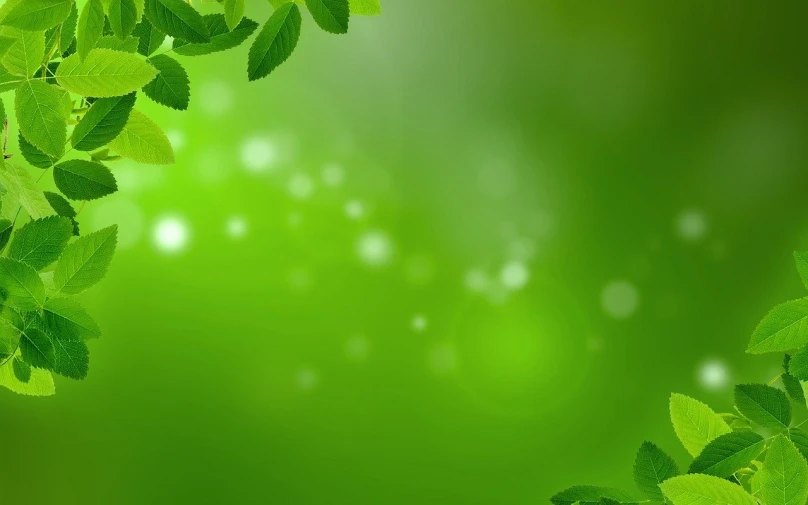 a bunch of green leaves on a green background, by Anna Füssli, hd rendering, hd picture, very luminous design, beautiful screenshot