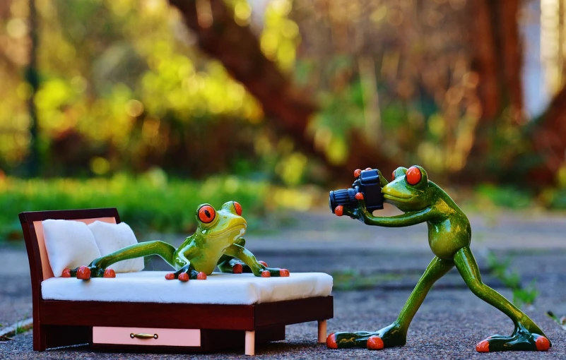 a figurine of a frog taking a picture of a bed, a picture, pixabay contest winner, photorealism, pepe the frogs at war, in the sun, like a professional model, camera photo