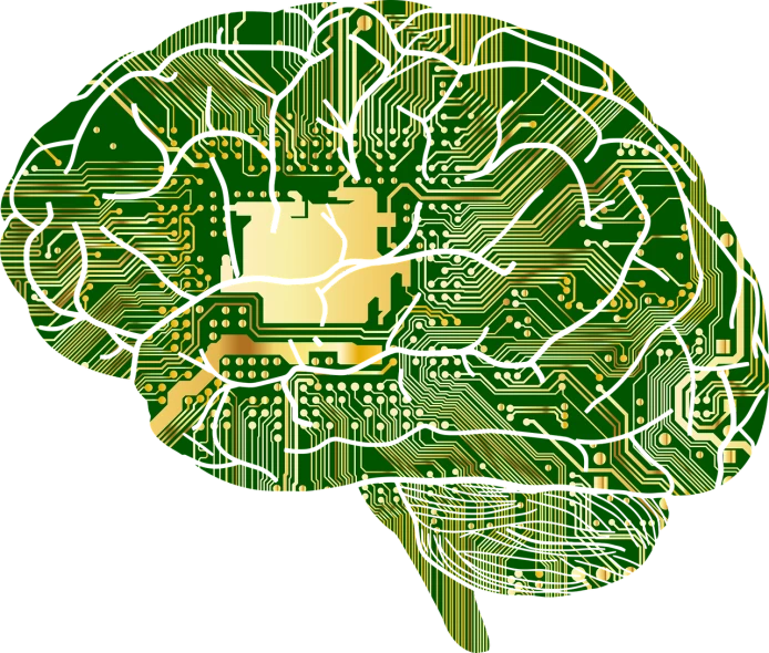 a circuit board in the shape of a brain, by Jon Coffelt, pixabay, darpa, matrioshka brain, speech, a green