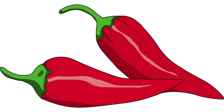 a couple of red peppers sitting next to each other, a digital rendering, pixabay, rasquache, flat drawing, spicy, けもの, sickle