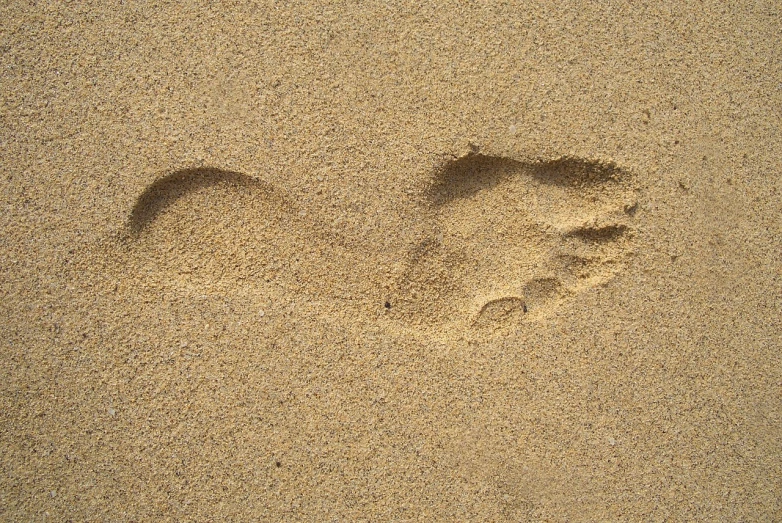 a pair of footprints in the sand on a beach, a stipple, inspired by Victorine Foot, renaissance, sea horse, smooth shank, an approaching shadow, 3 meters