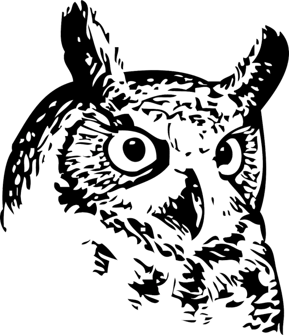 a black and white drawing of an owl, vector art, pixabay, sōsaku hanga, a horned, looking away, heads of wooden of bird face, birds - eye view