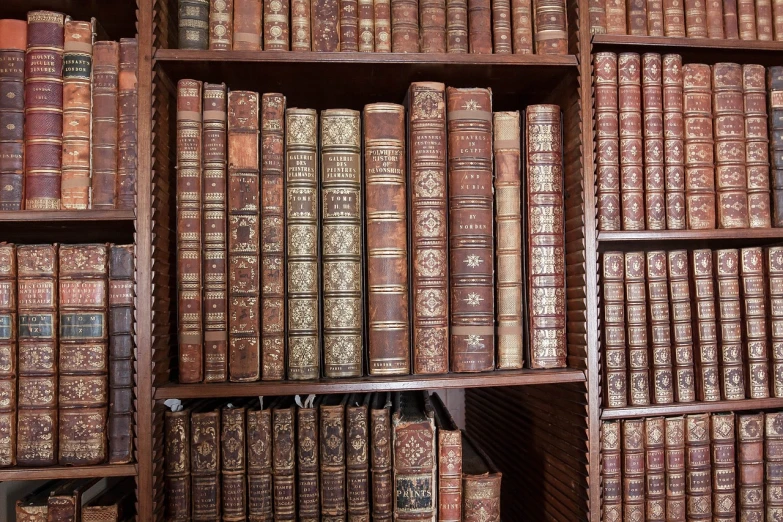 a bookshelf filled with lots of old books, by George Barret, Jr., pexels, renaissance, on display in a museum, high details photo, catalog photo, gustave bauman