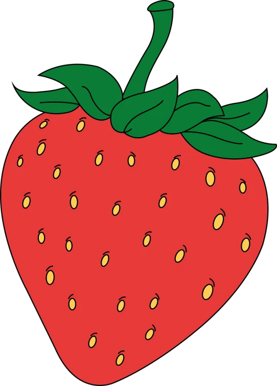 a close up of a strawberry on a black background, a digital rendering, by Andrei Kolkoutine, pop art, coloring book page, simple cartoon style, 70s photo, fully colored