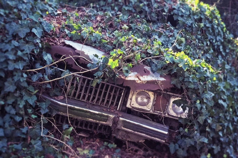 an old car covered in vines and ivys, a photo, inspired by Elsa Bleda, auto-destructive art, seventies, instagram photo, lowres, crashed in the ground