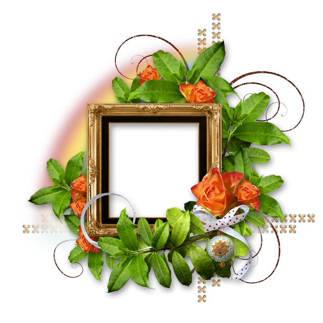 a picture frame with orange roses and green leaves, inspired by Cindy Wright, shining gold and black and red, lots of elements, modern very sharp photo, golden silver elements