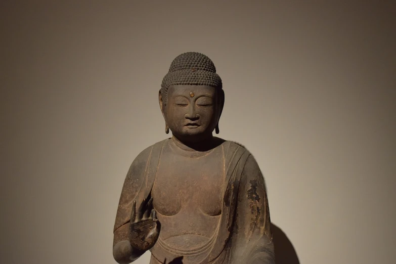 a close up of a statue of a person, a statue, sōsaku hanga, buddhist art, museum photoshot, a wide full shot, anjali mudra