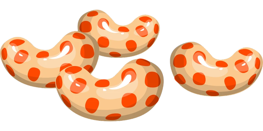 a couple of doughnuts sitting on top of each other, inspired by Yayoi Kusama, pixabay, pop art, sausages, shrimp, clipart, three fourths view