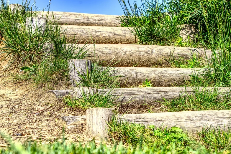 a bunch of logs sitting on top of a grass covered hillside, a stock photo, shutterstock, renaissance, coming down the stairs, post processed denoised, near the beach, hdr detail
