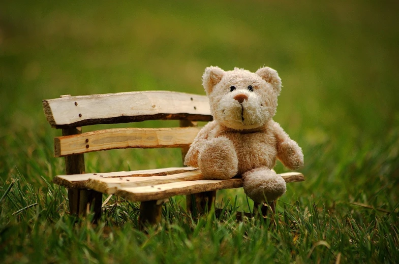 a teddy bear sitting on top of a wooden bench, a picture, pixabay, sitting on green grass, sitting down casually, 😃😀😄☺🙃😉😗, profile picture