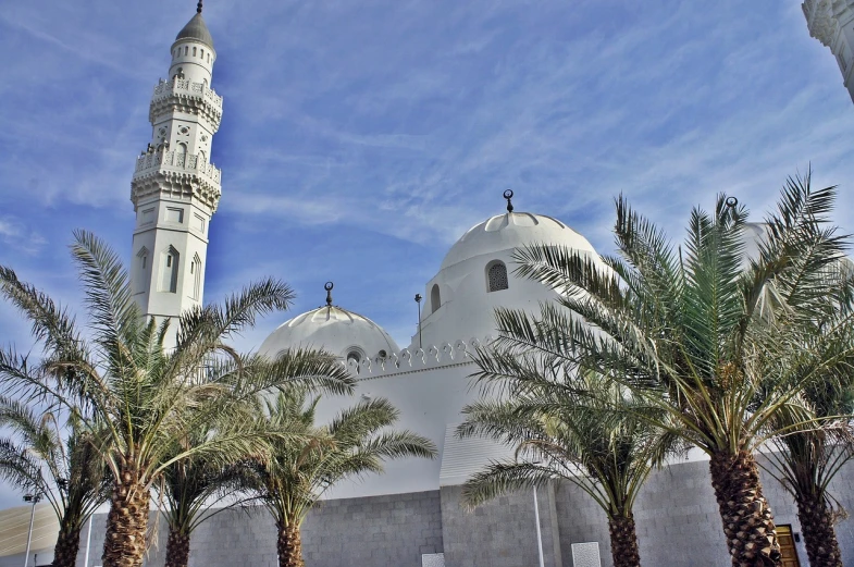 a group of palm trees in front of a white building, inspired by Abdullah Gërguri, pixabay, dau-al-set, lead - covered spire, dome, silver, mosque interior