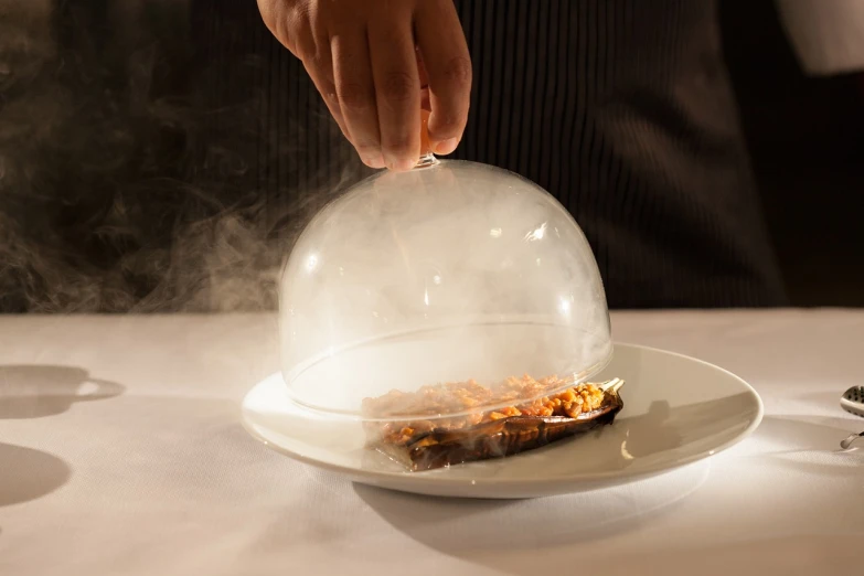 a close up of a plate of food on a table, a stock photo, fantastic realism, blows smoke, under glass dome, gourmet michelin restaurant, chili