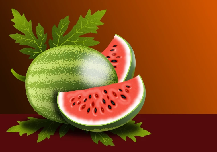 a piece of watermelon next to a slice of watermelon, vector art, by Susan Heidi, shutterstock contest winner, digital art, red background photorealistic, wonderful scene, !!! very coherent!!! vector art, savannah