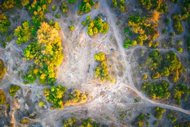 an aerial view of a dirt road surrounded by trees, land art, destroyed nature, details and vivid colors, morning glow, high quality image”