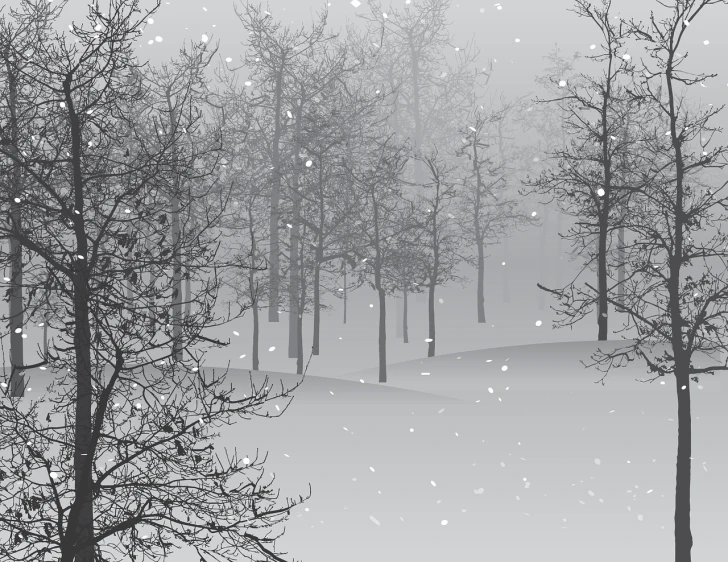 a black and white photo of a snowy forest, an illustration of, inspired by Bruno Liljefors, digital art, a beautiful artwork illustration, gray dull background, black and white vector, snowfall at night