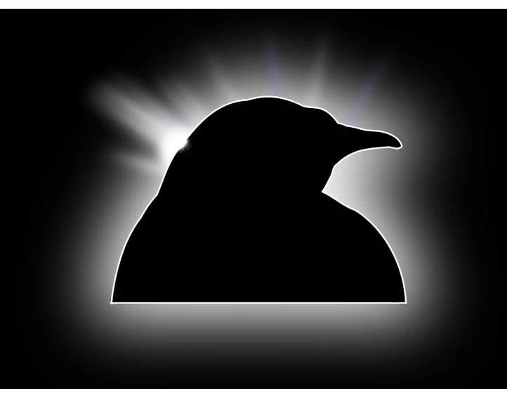 a silhouette of a bird on a black background, a raytraced image, inspired by Shūbun Tenshō, fat penguin, sun beam, flash photo, dark visor covering face