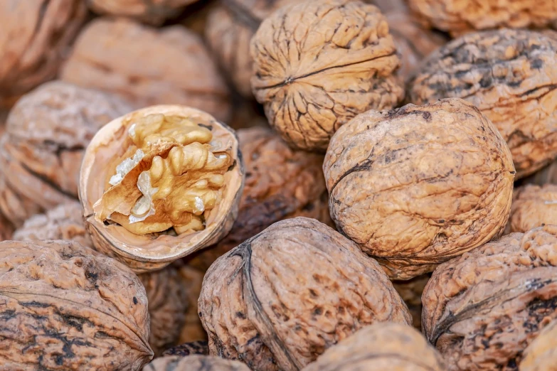 a bunch of walnuts sitting on top of each other, a portrait, by Josef Navrátil, pexels, 1024x1024, caucasian, egypt, 1128x191 resolution