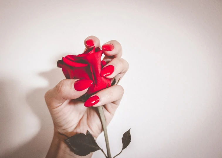 a woman's hand holding a red rose against a white wall, by Romain brook, pexels, romanticism, nail polish, 🪔 🎨;🌞🌄, stock photo, beautiful flower