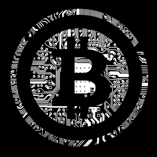 a black and white photo of a bit bit bit bit bit bit bit bit bit bit bit, a digital rendering, pixabay, computer art, bitcoin, detailed silhouette, high contrast!!, round logo