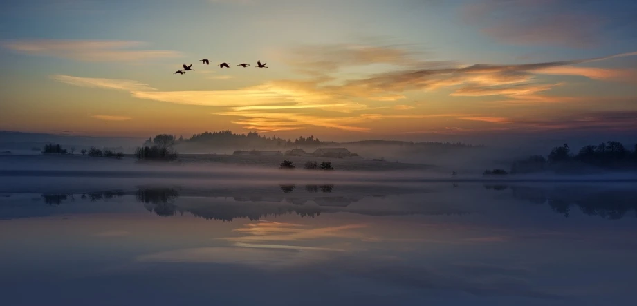 a flock of birds flying over a body of water, a photo, by Harald Giersing, pixabay, morning mist, in a row, nordic landscape, sunrise colors