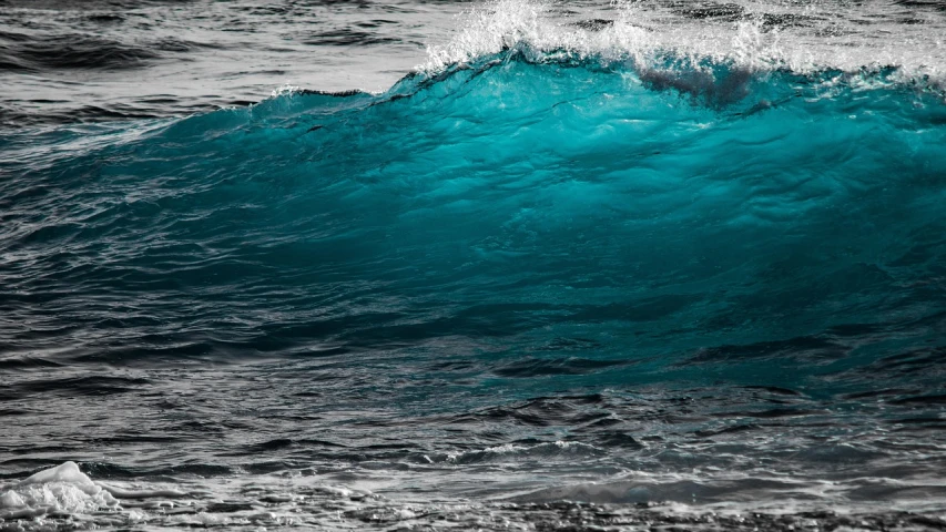 a man riding a wave on top of a surfboard, pexels, fine art, the blue whale crystal texture, [bioluminescense, carribean turquoise water, paul barson