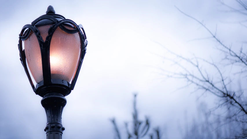 a street light with a tree in the background, shutterstock, realism, soft light of winter, bokeh dof sky, orange lamp, many details