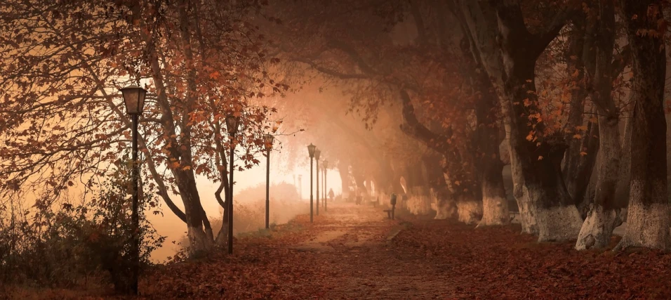 a path surrounded by trees on a foggy day, a picture, inspired by Gediminas Pranckevicius, shutterstock, romanticism, autumn lights, greece, dusty street, dramatic reddish light