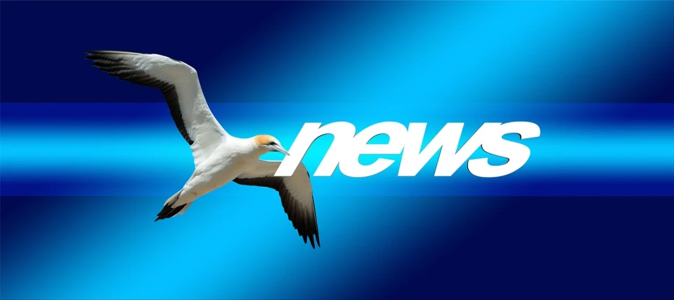 a bird that is flying in the sky, pixabay, happening, news broadcast, 3 d logo, australian, marc newsom