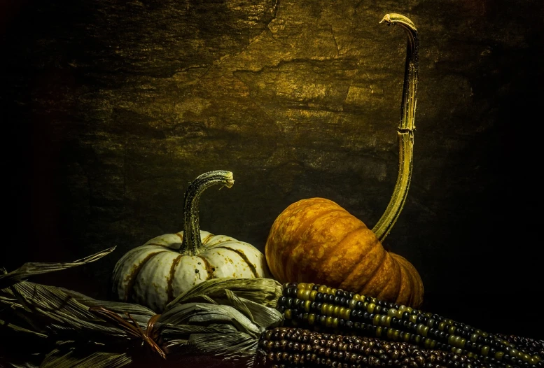 a couple of pumpkins sitting on top of a table, a still life, by Robert Storm Petersen, shutterstock, chiaroscuro!!, corn, old masters light composition, enhanced photo