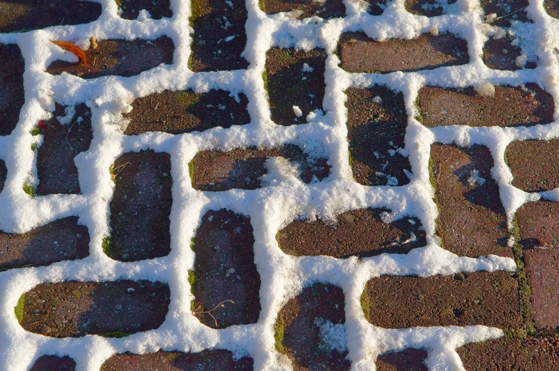 a brick walkway covered in snow next to a leaf, procedural textures, afternoon sun, 1 7 9 5, hoog detail