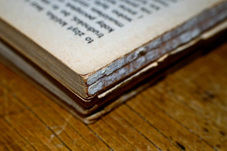 an open book sitting on top of a wooden table, by Adriaen Hanneman, flickr, mingei, skin detail, cracked, macro 20mm, spine