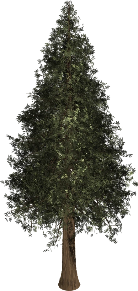 a close up of a tree on a black background, a raytraced image, polycount, hurufiyya, christmas tree, very dark with green lights, super detailed image, trees and pines everywhere