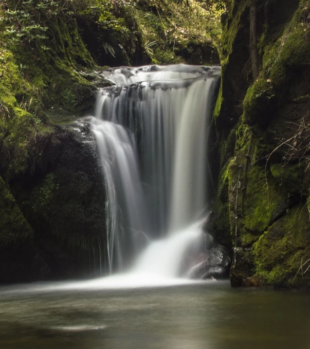 a waterfall in the middle of a lush green forest, a tilt shift photo, by Peter Churcher, shutterstock, long exposure photo, william penn state forest, facing front, flowing curves