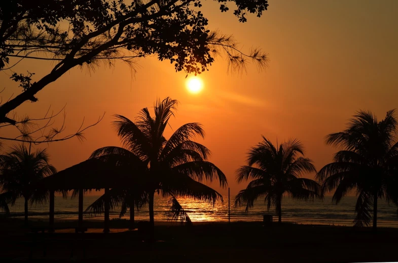 the sun is setting behind palm trees on the beach, a picture, by Tom Carapic, pixabay, thai, in a sunset haze, comfortable, mexico