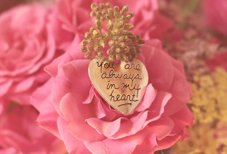 a close up of a flower with a heart on it, by Sylvia Wishart, tumblr, message, jewels, pink, retro style ”