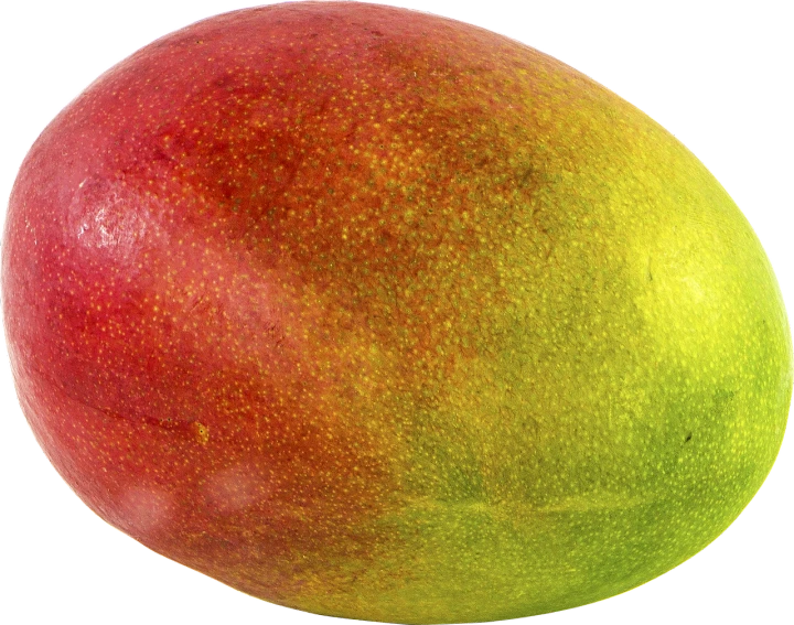 a close up of a mango on a white background, an illustration of, pexels, -h 1024, rasta, colorized, full body close-up shot