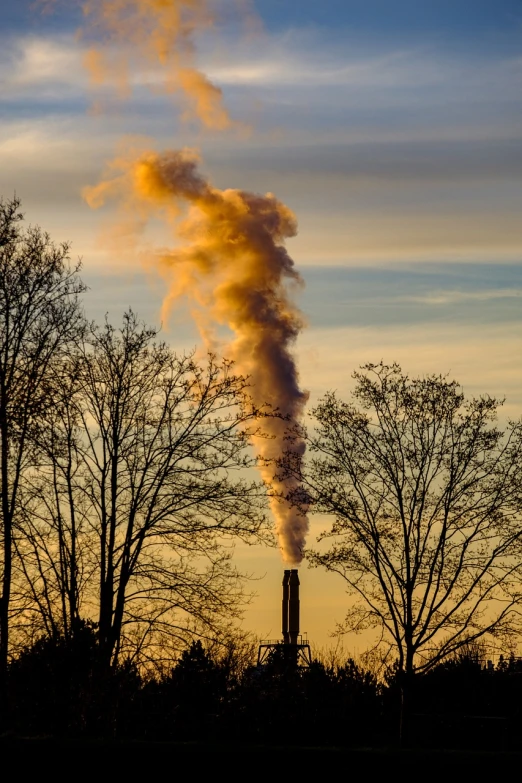 the smoke is coming out of the chimney, a picture, by Erwin Bowien, golden hour photo, looks like a tree silhouette, industrial saliva, a colorful