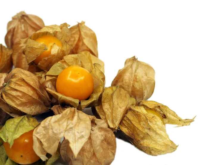 a bunch of fruit sitting on top of a white surface, by Karl Völker, shutterstock, art nouveau, chinese lanterns, yellowed with age, high detail product photo, basil