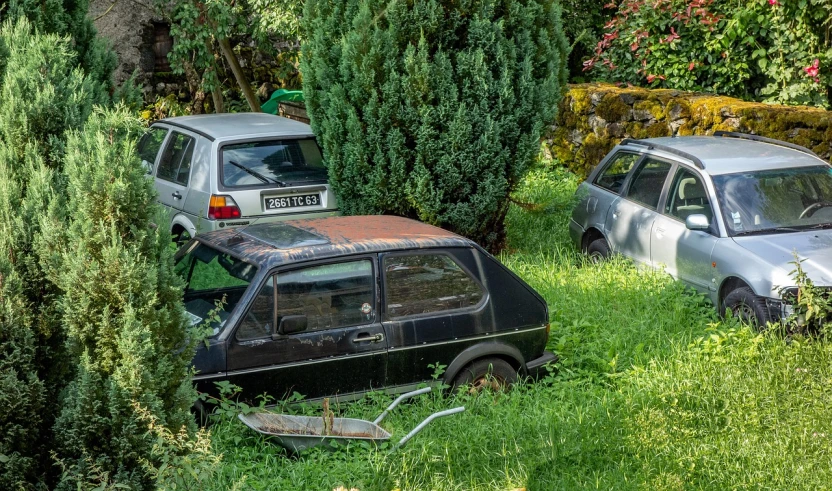 a couple of cars that are sitting in the grass, by Richard Carline, overgrown garden environment, fotografia, under repairs, detailed zoom photo