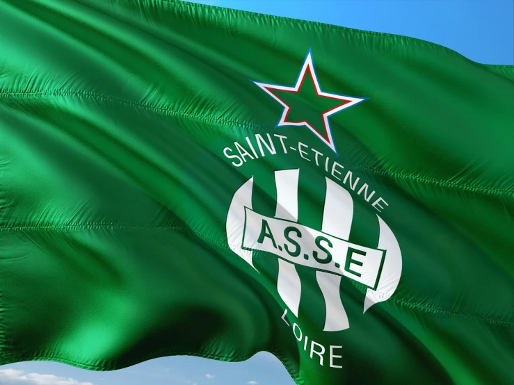 a large green flag flying in the wind, by Etienne Delessert, aseprite, football, ocatane render, 💣 💥💣 💥