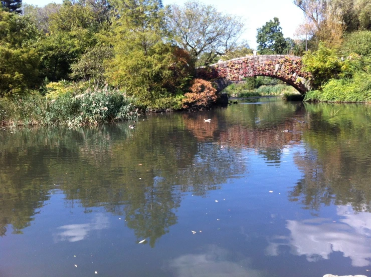 a bridge over a body of water surrounded by trees, a picture, inspired by Ethel Schwabacher, flickr, brooklyn, duck, at the park on a beautiful day, beautiful reflexions