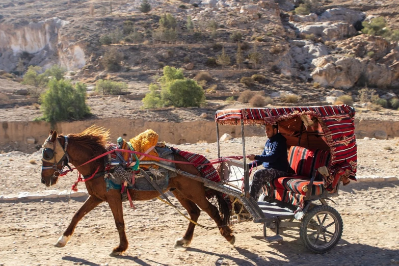 a man riding on the back of a horse drawn carriage, a picture, by Dietmar Damerau, shutterstock, cyprus, canyon, b - roll, carousel