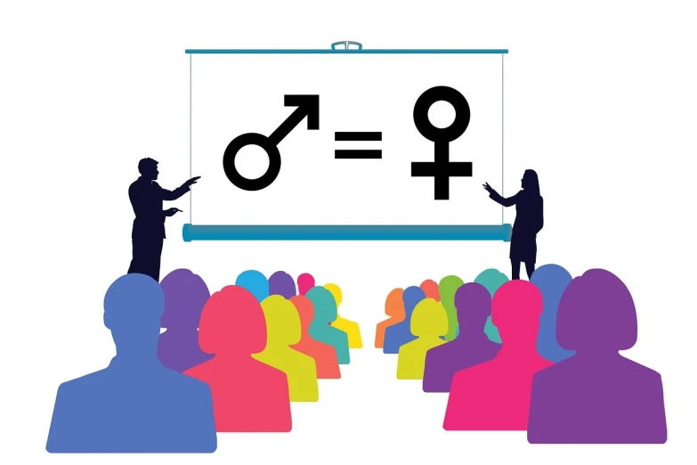 a man giving a presentation to a group of people, a diagram, by Whitney Sherman, pixabay, feminist art, equations, couple, language learning logo, cmyk