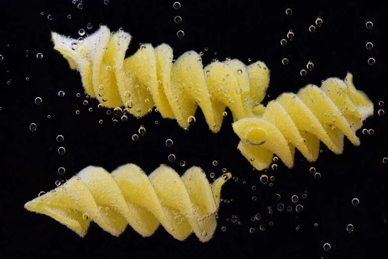 a couple of pastas that are in some water, a microscopic photo, by Jan Rustem, flickr, award - winning crisp details ”, bubbles vfx, mario testino, potato