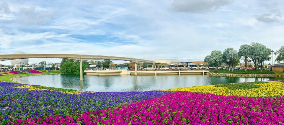 a bridge over a body of water surrounded by purple and yellow flowers, monorail station, 🌸 🌼 💮, universal, parks and lakes