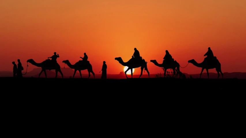 a group of people riding on the backs of camels, a picture, by Matthias Weischer, shutterstock, romanticism, orange sun set, epiphany, siluettes, 1001 nights