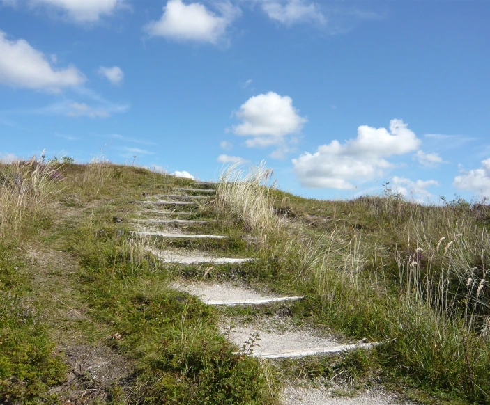a set of steps leading up a grassy hill, by Magdalene Bärens, flickr, blue sky, salt dunes, gemmy woud - binendijk, take off