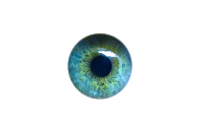 a close up of a blue eye on a white background, a macro photograph, hurufiyya, cool blue and green colors, eye white). full body realistic, top down extraterrestial view, round iris