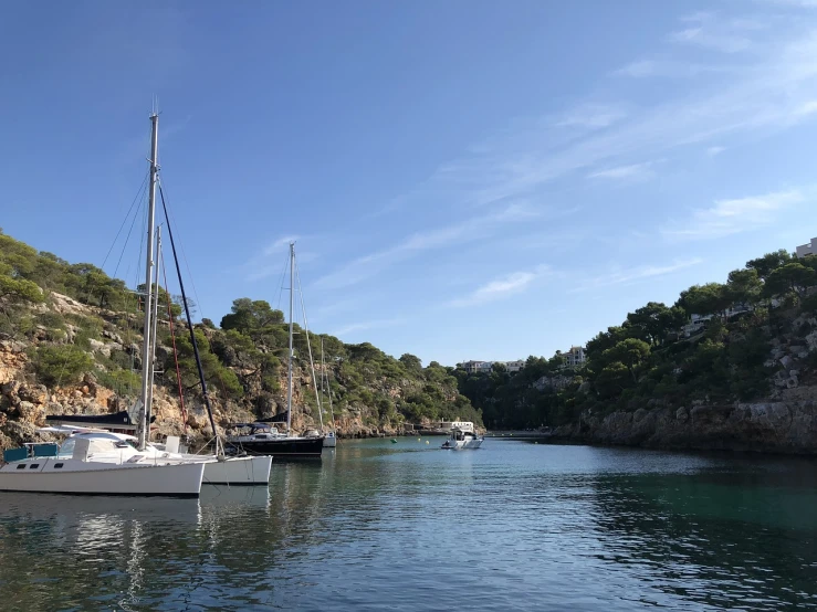 a number of boats in a body of water, a picture, by Fede Galizia, pexels, les nabis, with lots of vegetation, sailboat, cliffs, low angle wide shot