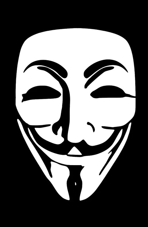 a guy wearing a v for vendette mask, vector art, pixabay, anarchy, (grin), hacking, black and white only